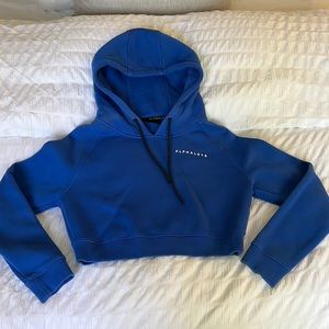 Alphalete blue crop sweater